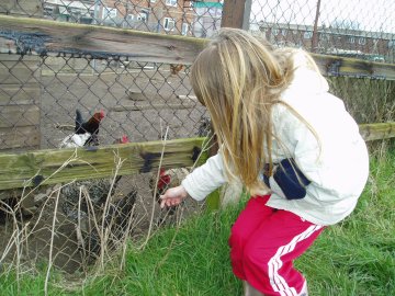 Beth and chickens